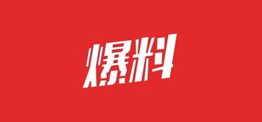 最新石家庄职场爆料,最新爆料揭示行业秘密与职场真相